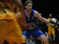 CHALLENGING CLASH: Mitch Clarke was crucial during the Braves 10-point win over the Melbourne Tigers on Saturday night. Clarke scored 12 points, took four rebounds and made two steals. Picture: ANTHONY PINDA