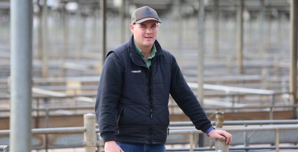 AUCTIONEER: Nick Farley's goal from when he was 15-years-old was to become a livestock auctioneer. Picture: GLENN DANIELS