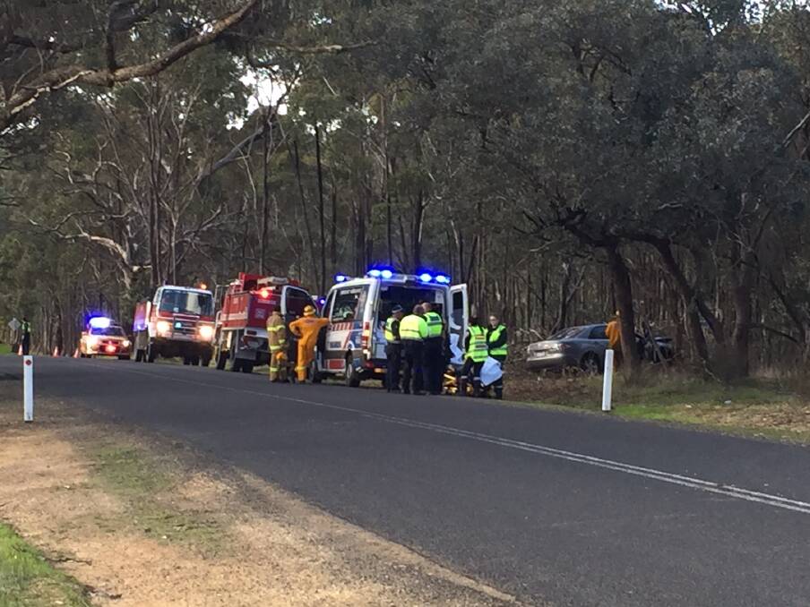Emergency services on the scene of the collision in Sedgwick. Picture: GLENN DANIELS