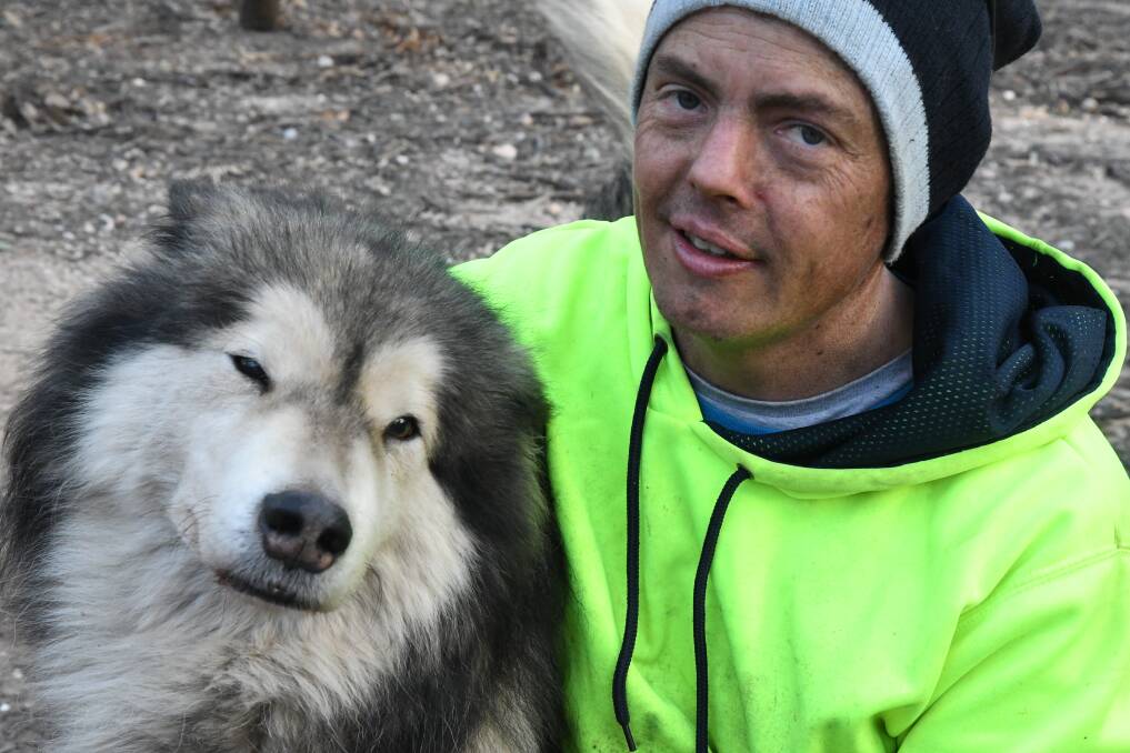 PASSIONATE: Marty Cord with Malamute Loki. Cord has been involved with dog rescue and racing for years. Picture: ANTHONY PINDA
