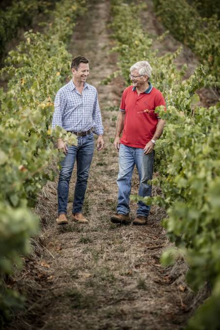 FATHER AND SON: Daniel Hopkins and Ian Hopkins walking through their vineyard. Picture: SUPPLIED