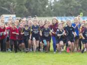 RUNNING JOY: Thousands of students competed at the SSV Goldfields and Sandhurst region cross country event. (File photo)