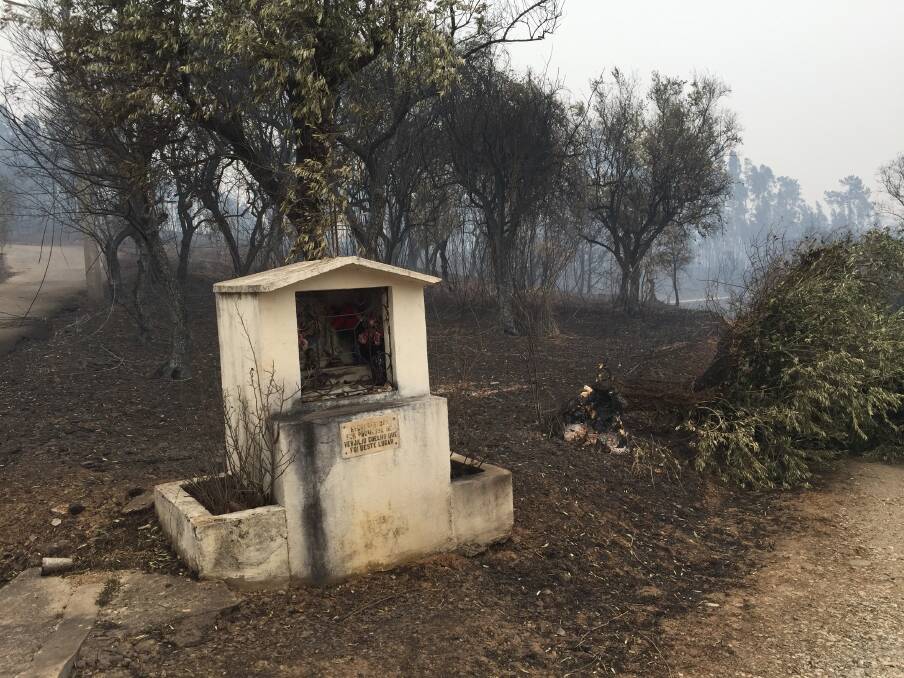 Roadside altar: scarred by the flames, the shrine stands surround by burnt earth.