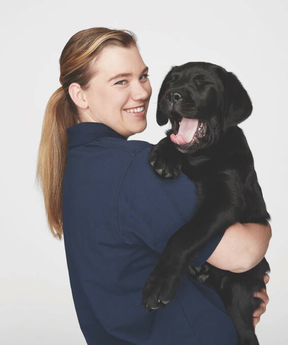 LEARNING: Seeing Eye Dogs Bendigo puppy development trainer Brittany McCarthy is happy to see her furry students returning to normal training. Picture: SUPPLIED
