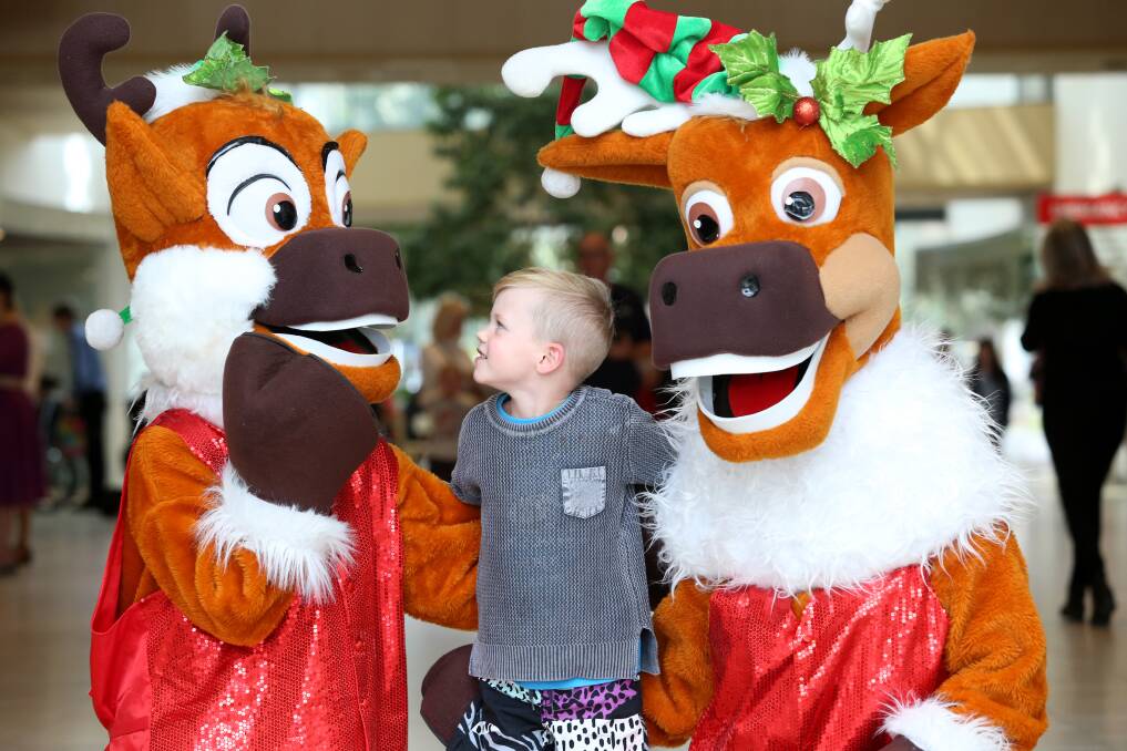 CHRISTMAS CHEER: Lenny Moroni and reindeer Jet and Dancer helped launch the Bendigo Health Christmas Appeal. Picture: GLENN DANIELS