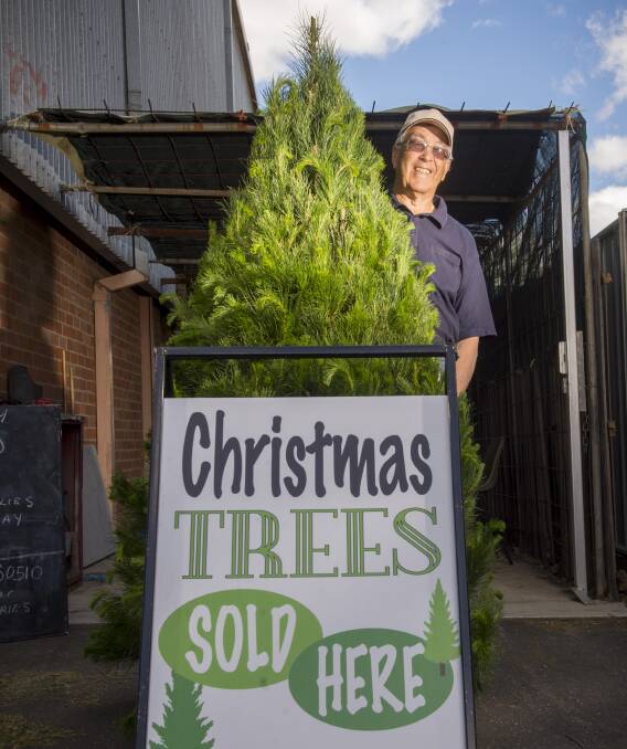 TIS THE SEASON: Bryan Curnow is helping the Y Service Club sell Christmas trees. Picture: DARREN HOWE