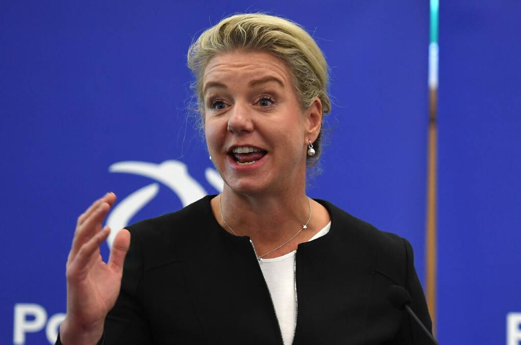 Federal Minister for Regional Services, Sport, Local Government and Decentralisation Bridget McKenzie announced the grant.