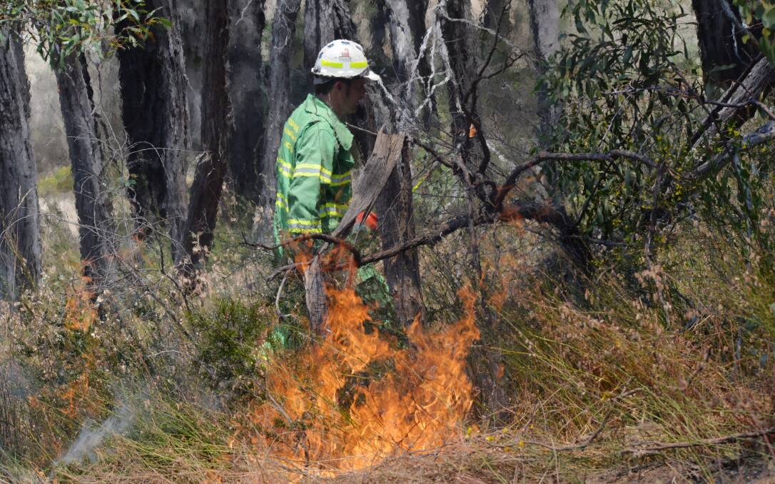 Forest Fire Management Victoria at a planned burn in 2016.