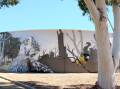 MURAL: Part of Kyabram's new water tank artwork. Picture: SUPPLIED