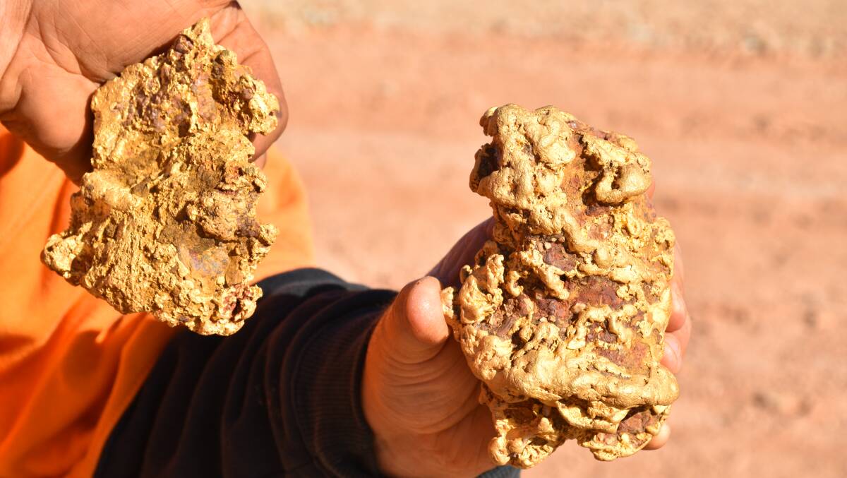 The two nuggets ehtan West, Brent Shannon and Paul West found near Tarnagulla. 