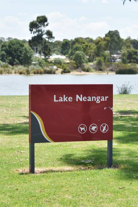 Algae buster could help Lake Neangar