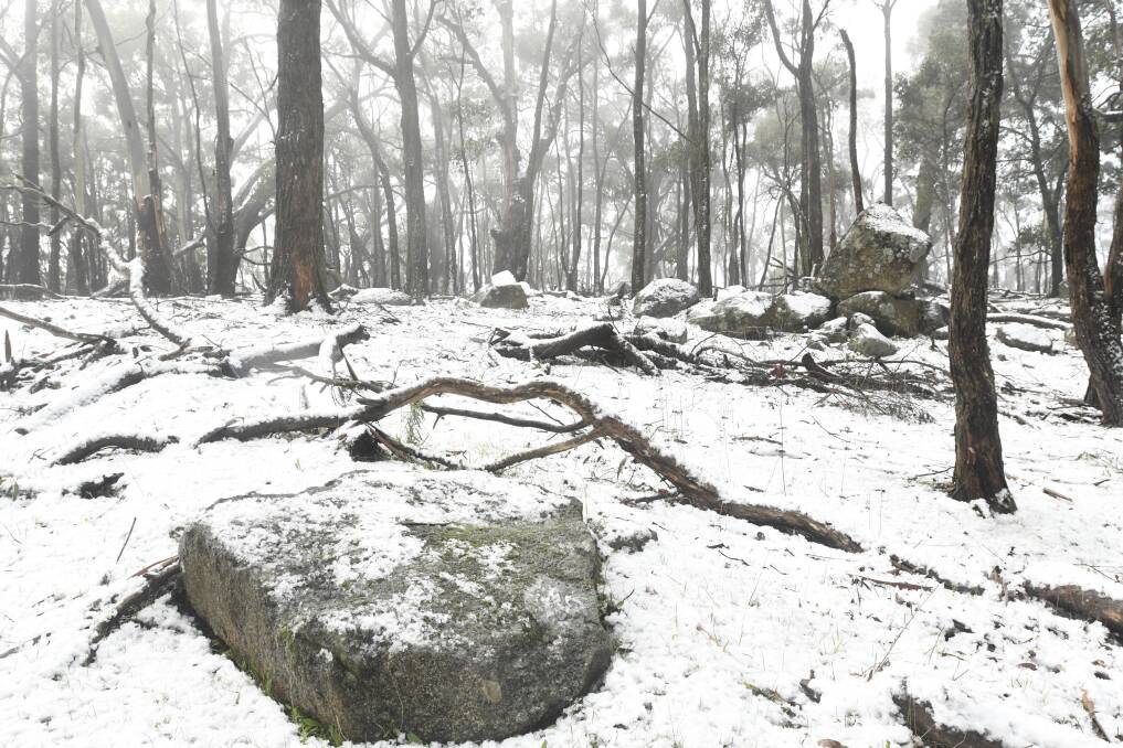 Snow could fall in Mount Macedon this weekend. The region previously saw snow in August with this photo taken at Mount Alexander. Photo: NONI HYETT