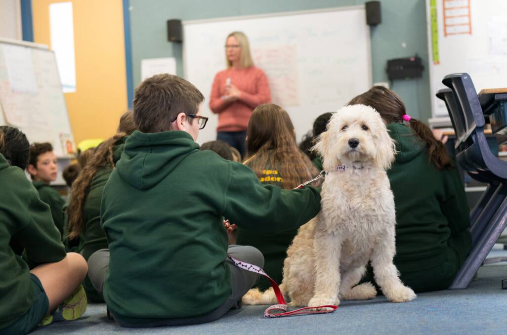 Five more Bendigo schools will join the Dogs Connect program in the next few weeks. Picture: Flawless Imaging