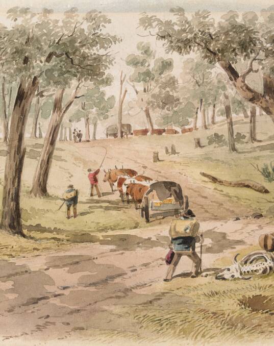 PAINTING: Road in the Black Forest, 1852, by S.T. Gill features in the exhibition courtesy the State Library of Victoria. Picture: CONTRIBUTED
