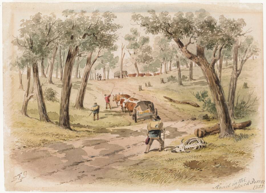 PAINTING: Road in the Black Forest, 1852, by S.T. Gill features in the exhibition courtesy the State Library of Victoria. Picture: CONTRIBUTED