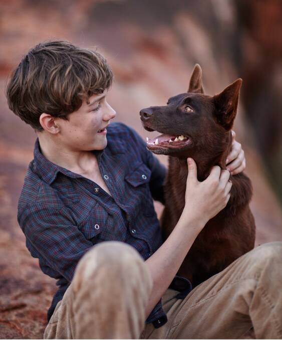 HOME GROWN MOVIE: Redesdale Recreation Reserve will screen Aussie family film Red Dog: True Blue on January 4 as part of Summer in the Parks.