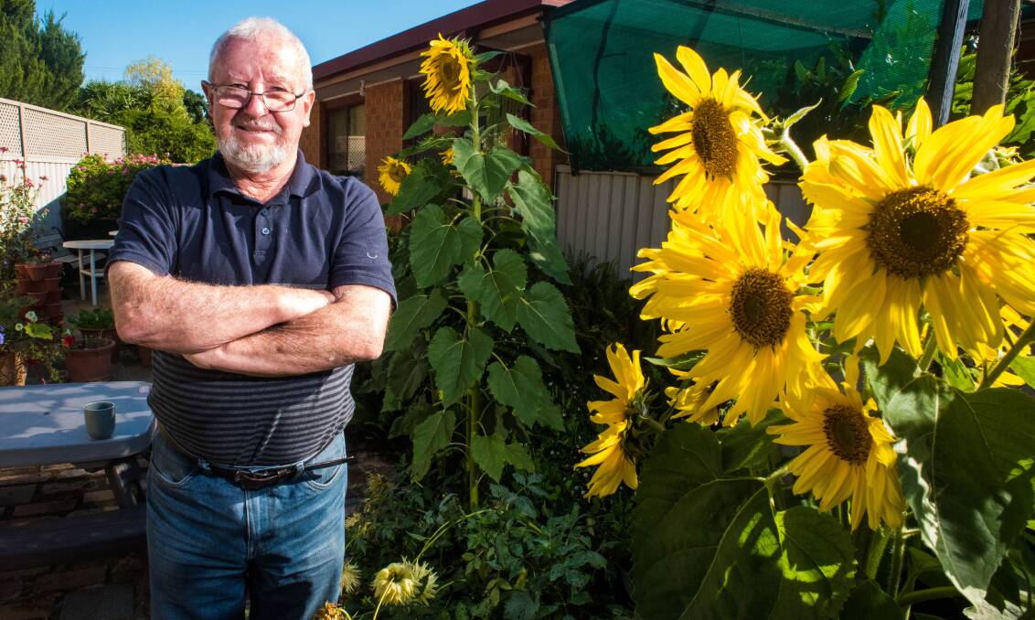 GREEN THUMB: Peter Huxtable won a Victoria in Bloom award for his enclosed garden that features flowers and finches. Picture: BRENDAN McCARTHY