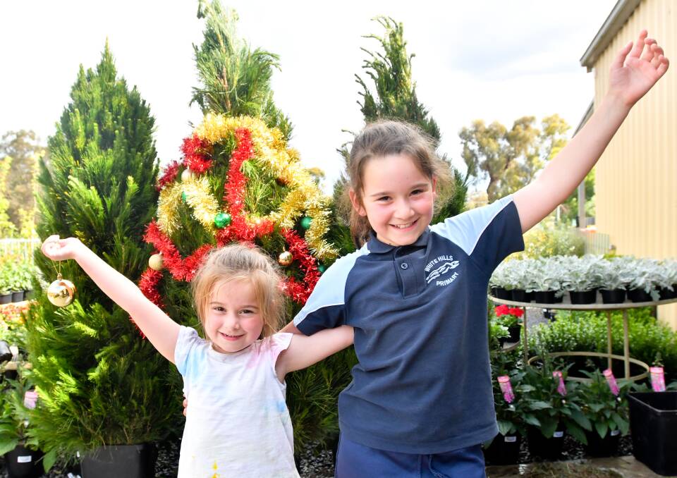 Madison and Mila Fitzgerald are excited for their Rodilesa Christmas tree. Profits from this season's tree sales will support the Three Peaks for Pete fundraiser. Picture: NONI HYETT