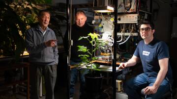 Australian National University plant physiologists Dr Chin Wong, Professor Graham Farquhar and Dr Diego Marquez have contributed to research which could make plants more drought resistant. Picture: Tracey Nearmy