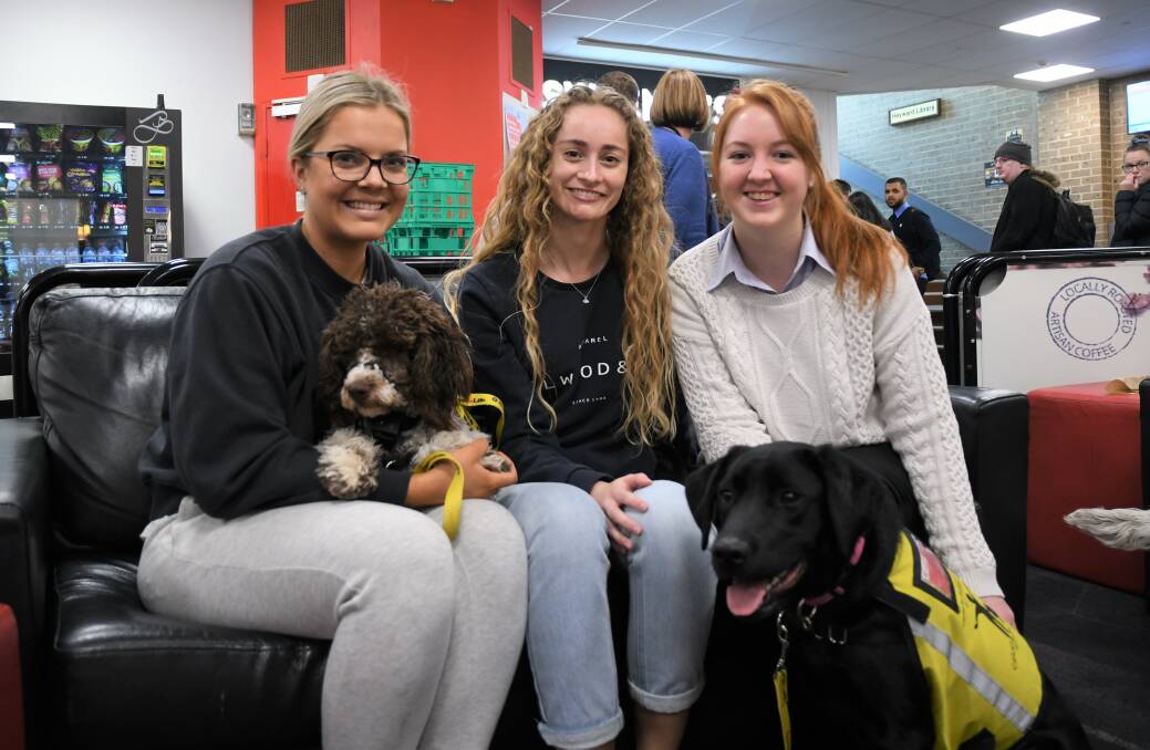 La Trobe University students Jess Donaldson, Nikki Bedworth and Sarah Postlethwaite with therapy dogs in training Cocoa and Sophie at the Bendigo campus' R U OK? Day event.