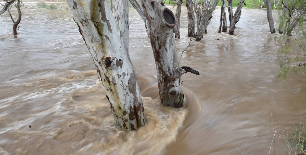 WARNING: A warning has been issued for minor flooding along the lower Loddon River, although river levels are falling. Picture: NONI HYETT