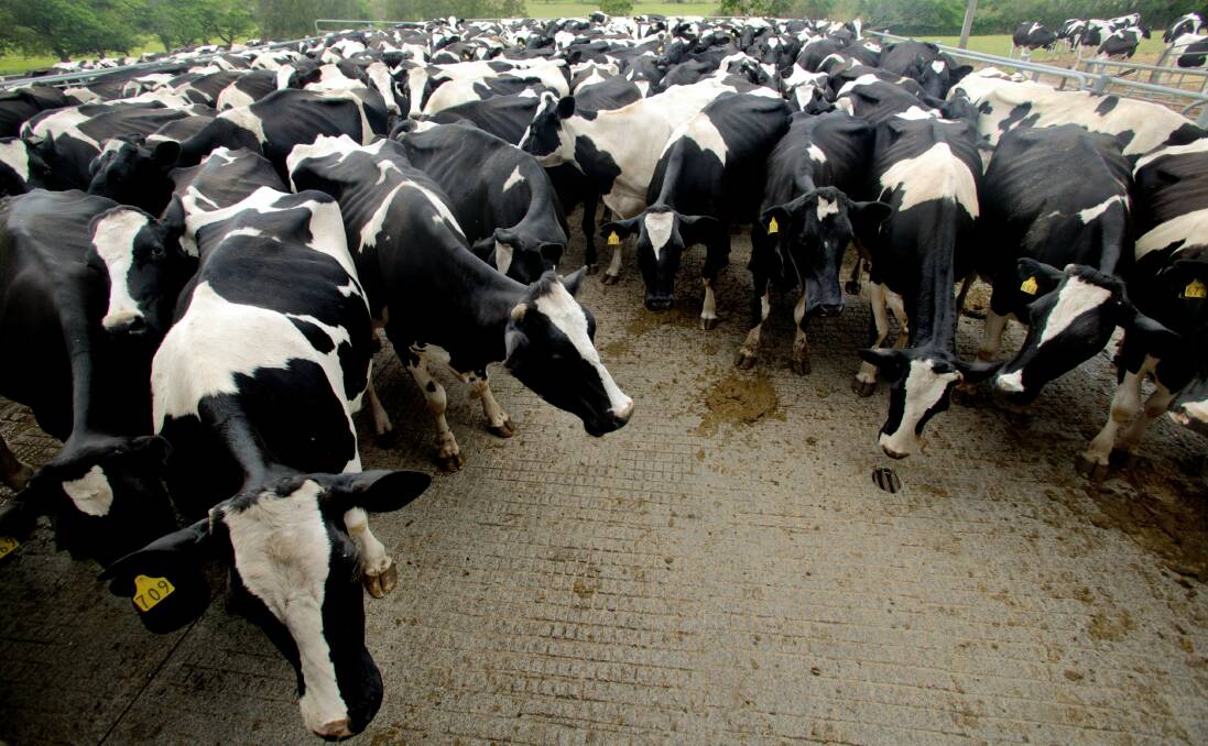 ONGOING: The dairy crisis continues to affect farmers and rural communities.