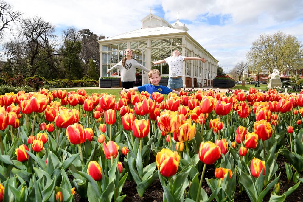 Milah, Baxter and Zahli Reid enjoying the bright tulip display earlier this spring. Picture: NONI HYETT