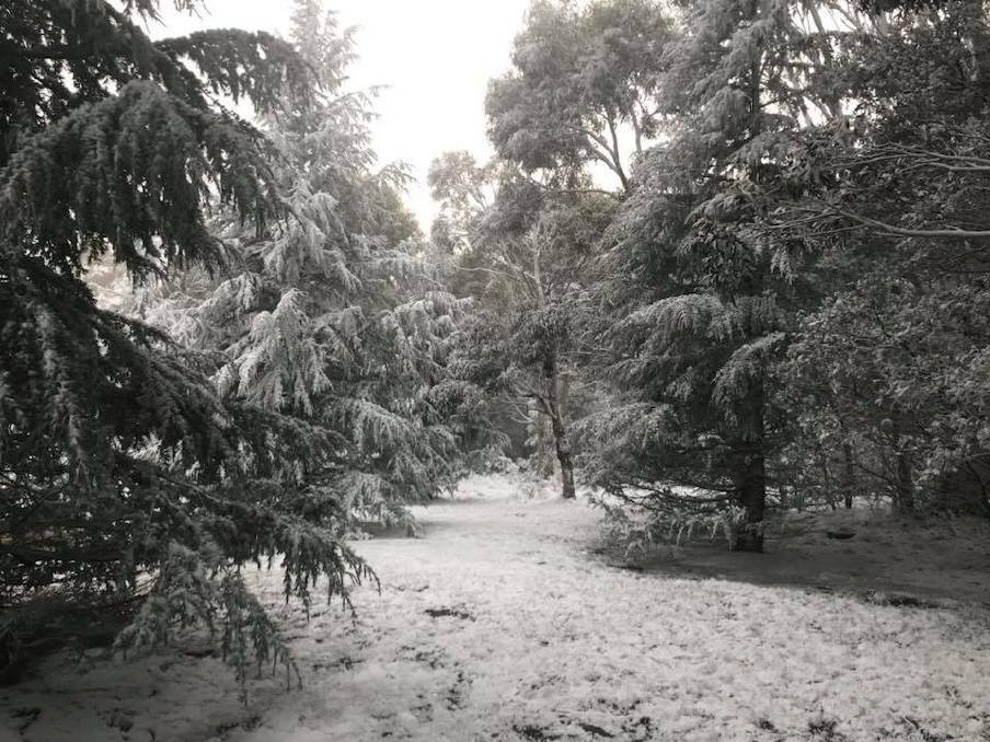 Snow at Mount Macedon last month, as captured by the Mount Macedon Fire Brigade.