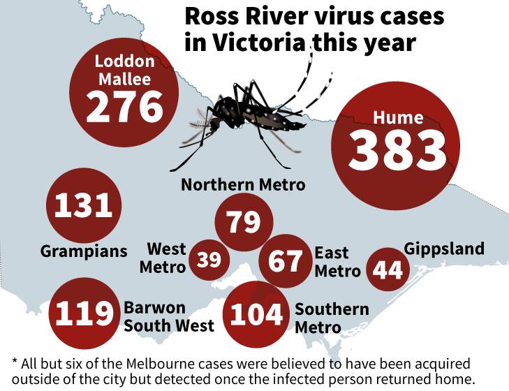 Another 231 Ross River virus cases detected