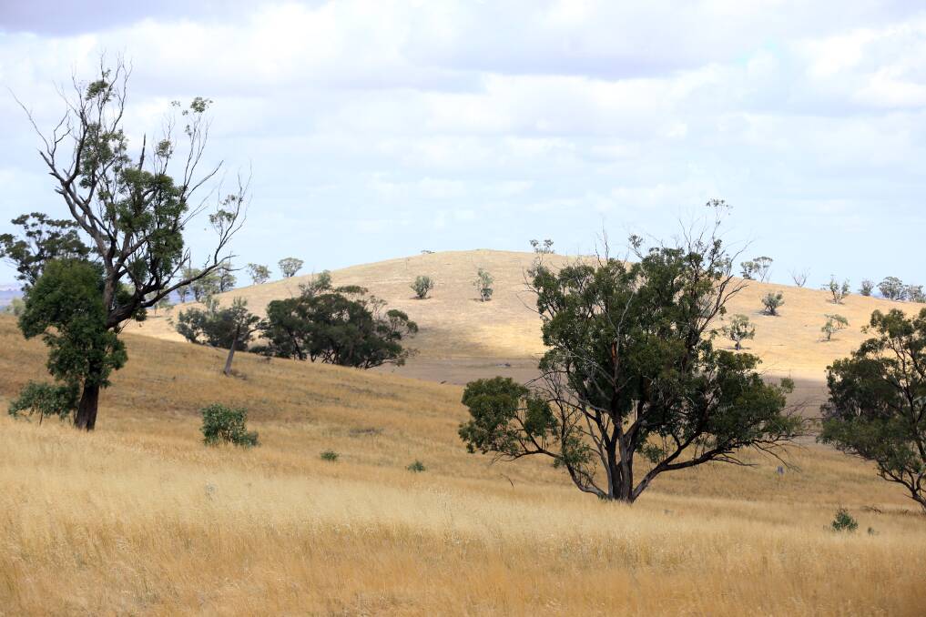 CONSERVATION: Nardoo Hills Reserves, near Wedderburn, will be managed according to the plan. Picture: GLENN DANIELS