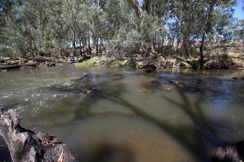 The Campaspe River at Axedale earlier this year. Picture: GLENN DANIELS