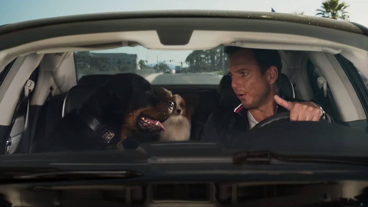 WORRYING: A scene from controversial children's film Show Dogs, starring Will Arnett with rapper Ludacris as the voice of the main canine character Max. Picture: Roadshow, via YouTube