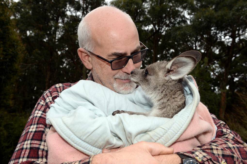 PASSION: Manfred Zabinskas has been rescuing and rehabilitating wildlife for more than 30 years. Photo: Kate Healy