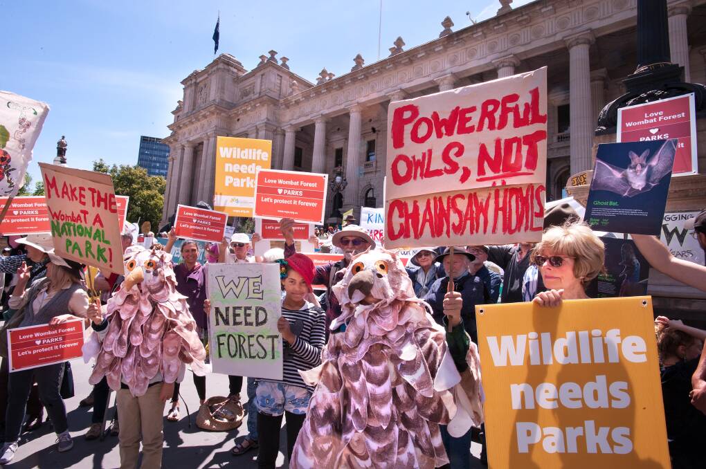 PASSION: Members of Wombat Forestcare rally in Melbourne. Photo: Sandy Scheltema 