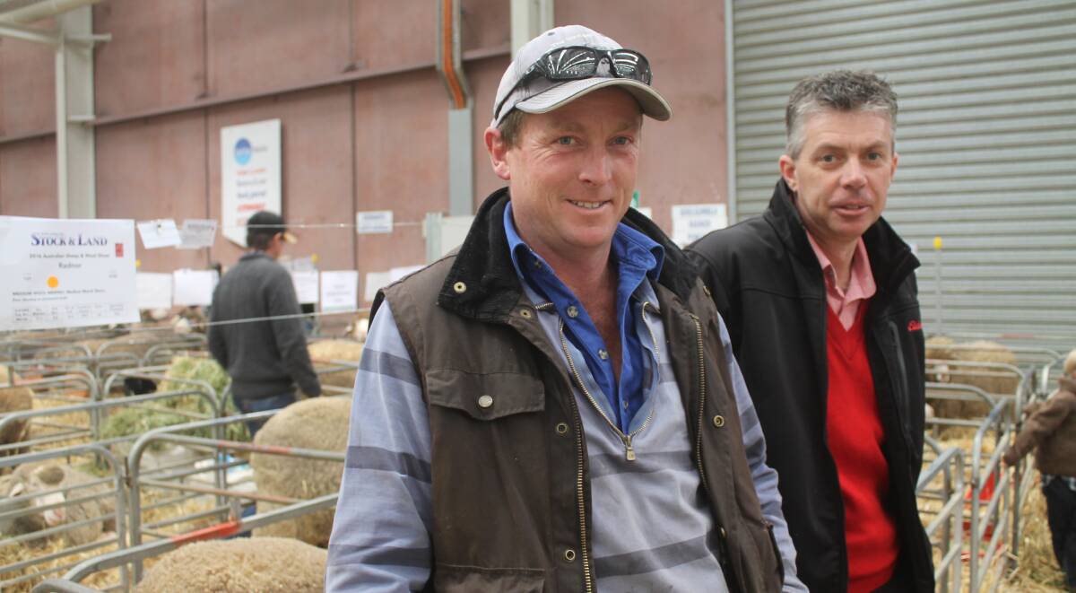 The Merino section of the Australian Sheep & Wool Show was alive on the first day of competition. 