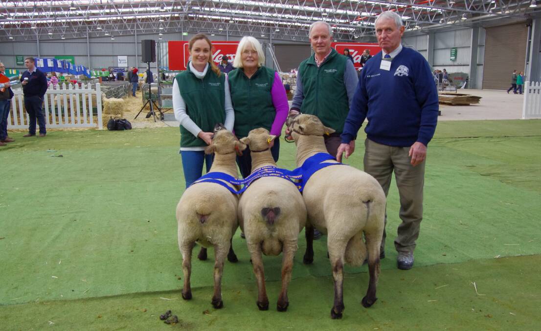 With the Most Successful Exhibitor Dorset Downs, awarded to the Champion one ram and two ewes, were Elizabeth, Margaret and Colin Chapman, Woodhall Stud, Wedderburn and judge Malcolm McKelvie.
