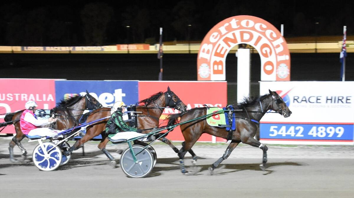 Ellen Tormey steers Zarem to victory at Bendigo on Thursday. Piucture: CLAIRE WESTON PHOTOGRAPHY