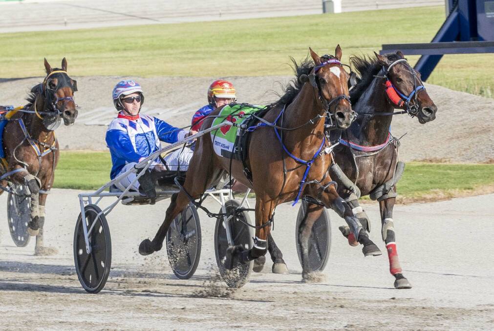 WOW FACTOR: Alex Ashwood steers the four-year-old gelding Wow You Can Dance to victory at Tabcorp Park Melton last Saturday night. Picture: STUART McCORMICK