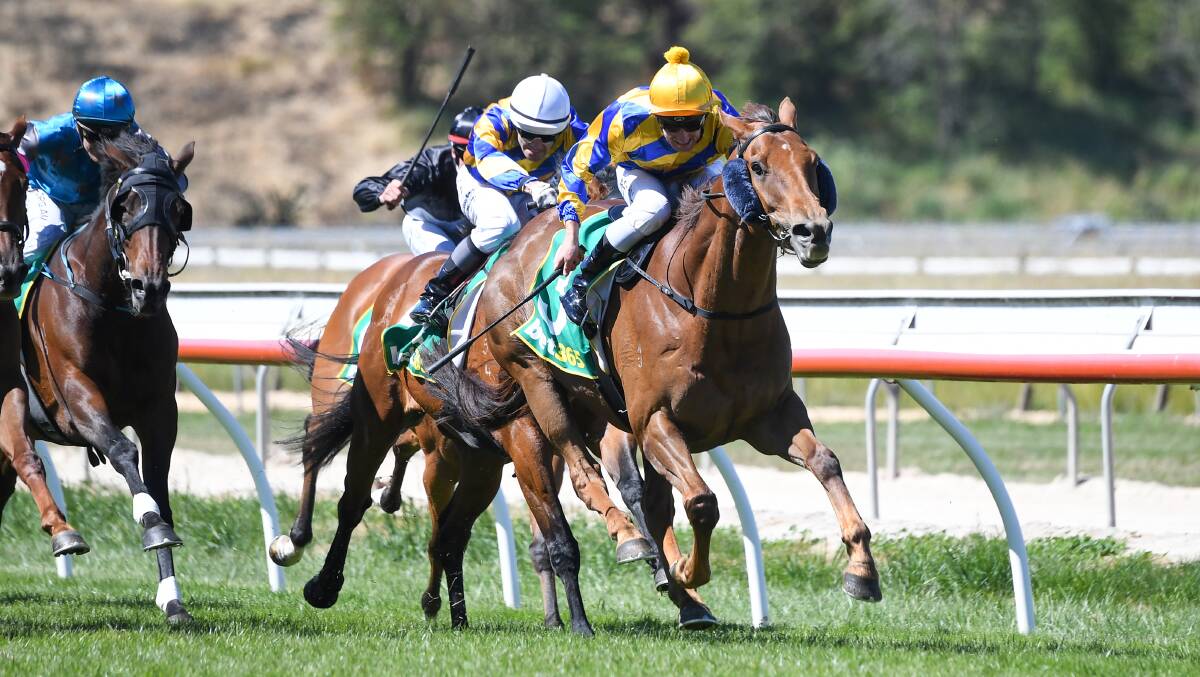 Latest Bentley, ridden by Jack Hill, wins the Prendergast Earthmoving Benchmark 58 Handicap at Kyneton on Thursday. Picture: PAT SCALA/RACING PHOTOS