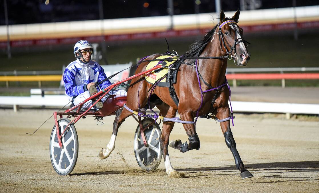 Dyslexic, driven by Josh Duggan, on the night of his second-place finish in the Tasmanian Derby in March. Picture: STACEY LEAR PHOTOGRAPHY
