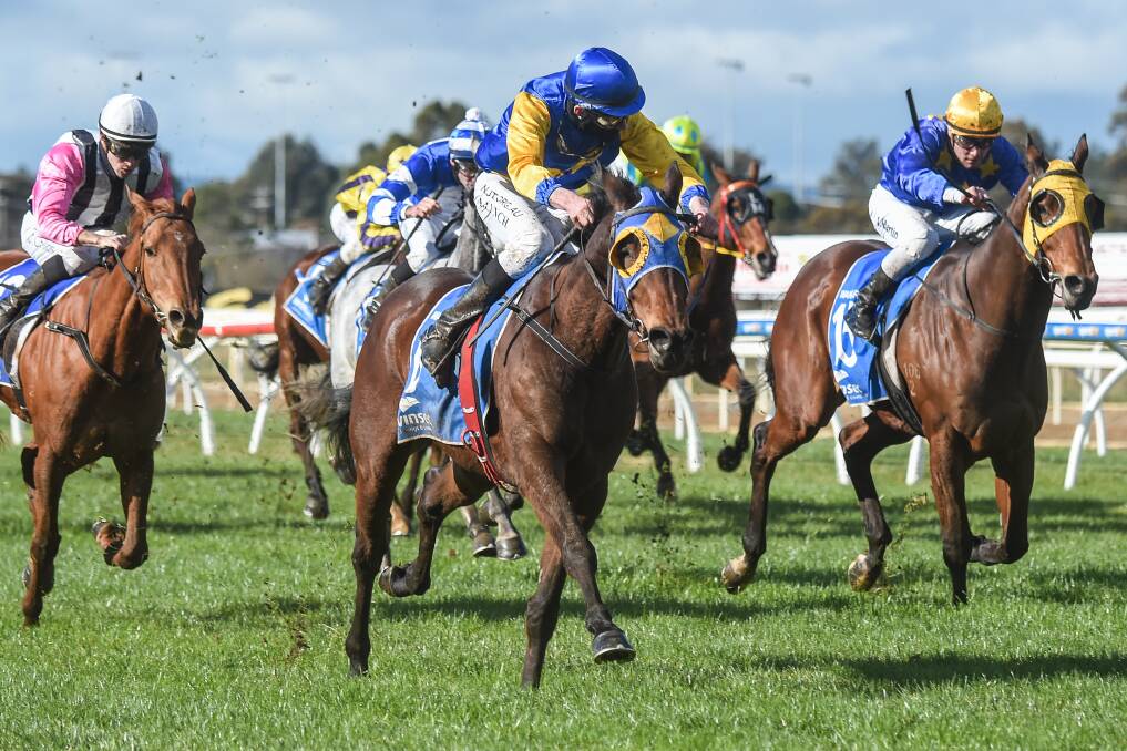Cooter Cha Cha, ridden by Arron Lynch, kicks clear in the straight to win at Wangaratta on Saturday. Picture: BRETT HOLBUT/RACING PHOTOS