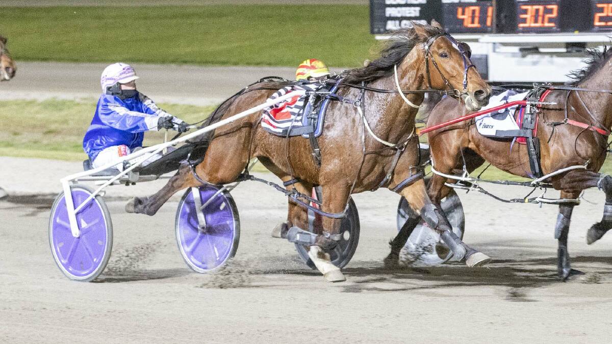 Heathcote's Shannon O'Sullivan takes out the last race on a big program at Lord's Raceway on Saturday night with Jean Luc. Picture: STUART McCORMICK