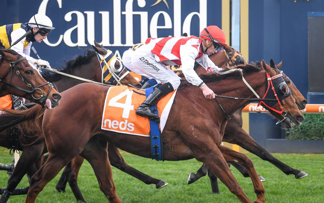BACK TO THE VALLEY: Hi Stranger (outside) makes it back-to-back wins with his victory at Caulfield on August 14. The ultra-consistent Bendigo galloper will line up in Friday night's Group 3 JRA Cup (2040m) at Moonee Valley. Picture: REG RYAN/RACING PHOTOS