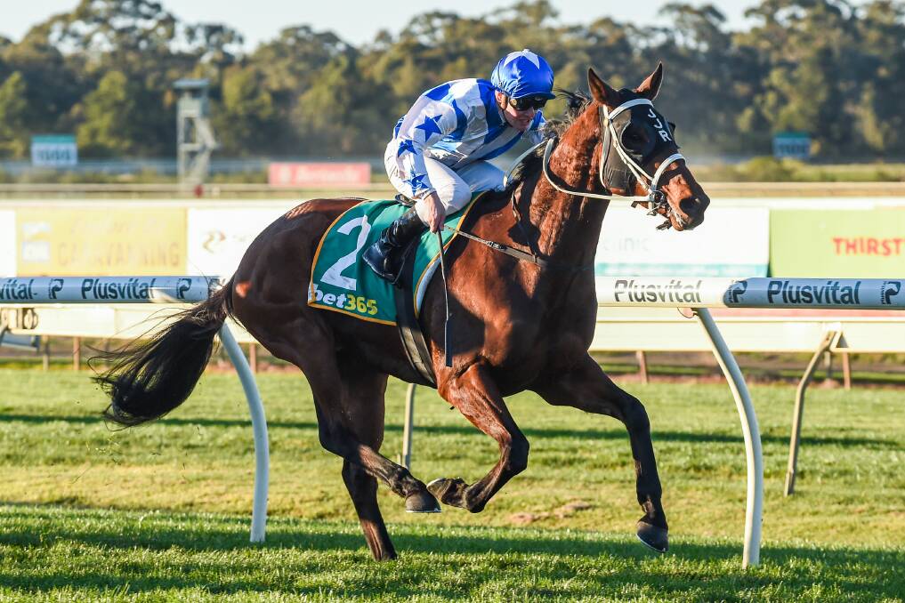 The Wrangler, ridden by Jack Martin, on his way to victory at Bendigo in May 2020. Picture: BRETT HOLBURT/RACING PHOTOS