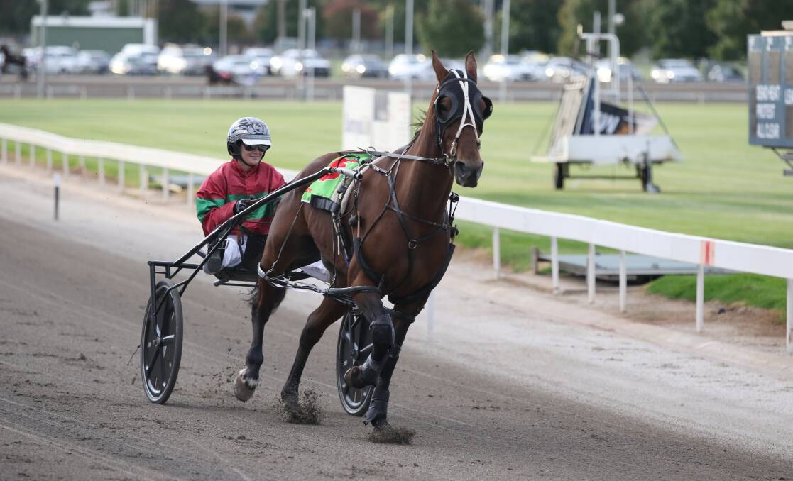UP AND RUNNING: Happyaslarry, pictured at Mildura's City Oval Paceway with Michelle Phillips in the sulky, delivered Terry Gange his second winner as a Marong-based trainer with his victory at Charlton last Sunday. Picture: CHARLI MASOTTI PHOTOGRAPHY