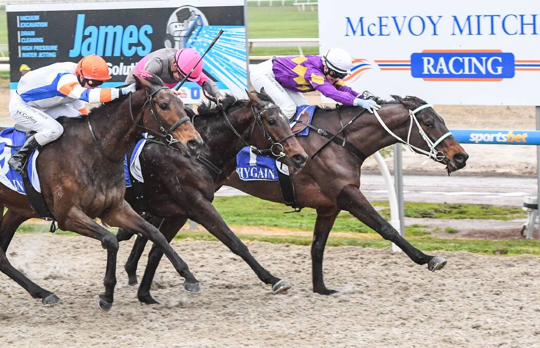 The Jarrod Robinson-trained Equine Philosopher, ridden by Rose Hammond, notches up career win number six at Ballarat Synthetic on Tuesday. Picture by Brett Holburt/Racing Photos