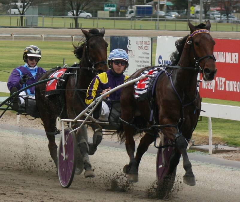 LEARNING FAST: Jordan Leedham (rear) does battle with his boss Alex Ashwood at Mldura's City Oval Paceway. Picture: CHARLI MASOTTI PHOTOGRAPHY