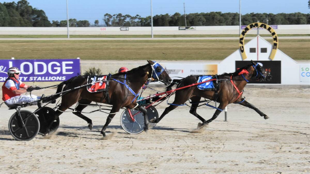 Denbeigh Wade (obscured) brings up her 100th career win in the sulky aboard Mymatethomo at Terang on Saturday, February 19. Picture: CLAIRE WESTON PHOTOGRAPHY
