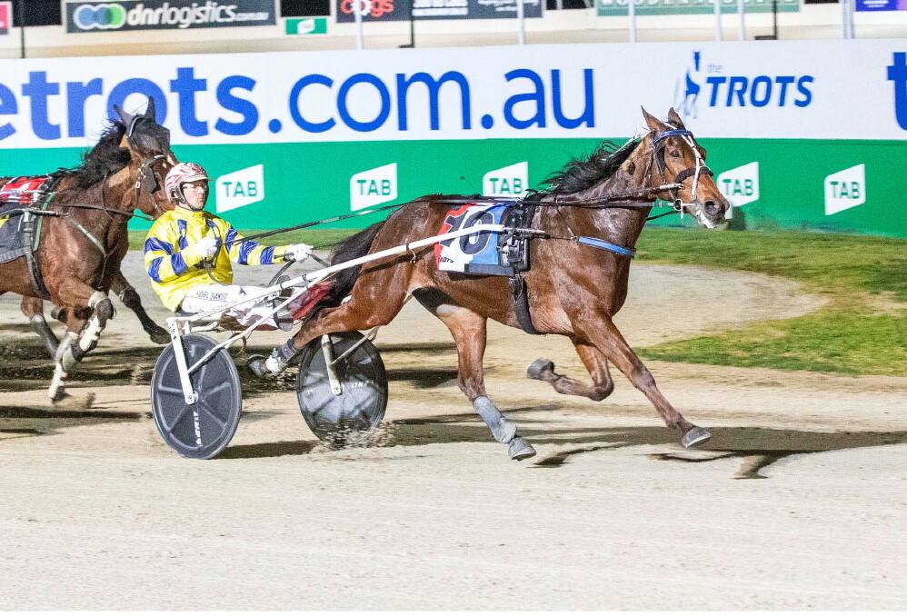 TOP CHANCE: Chris Svanosio steers Tough Monarch to victory in the Group 3 TAB Coulter Crown at Tabcorp Park Melton in late August. The pair will target tonight's Group 1 Bill Collins Trotters Sprint. Picture: STUART McCORMICK