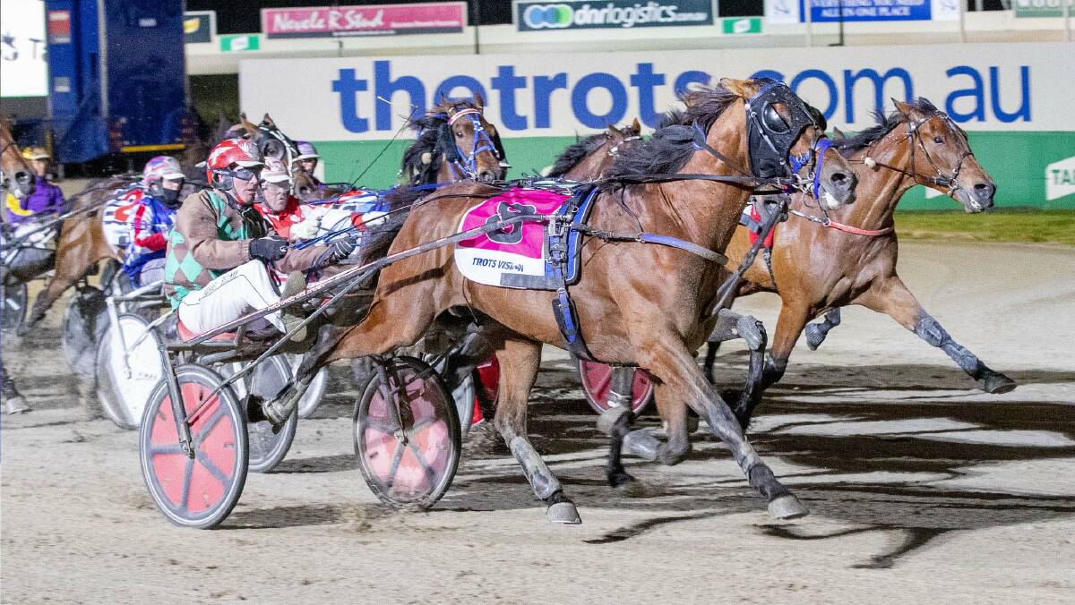 Sundons Courage, driven by Michael Bellman, wins the Group 2 Breeders Crown Graduate Trotters Free For All at Tabcorp Park Melton last November. Picture: STUART McCORMICK